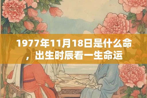1977年11月18日是什么命，出生时辰看一生命运