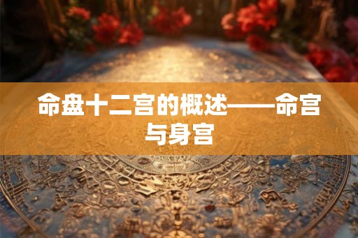 命盘十二宫的概述——命宫与身宫