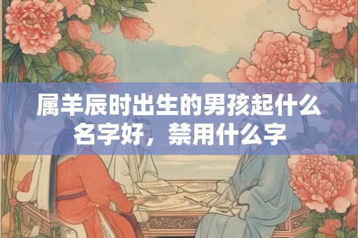 属羊辰时出生的男孩起什么名字好，禁用什么字