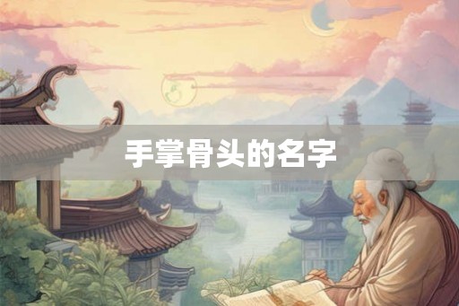 手掌骨头的名字