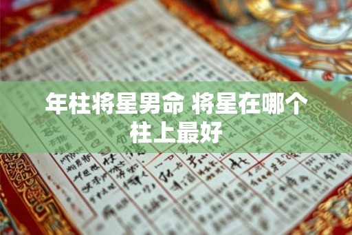 年柱将星男命 将星在哪个柱上最好