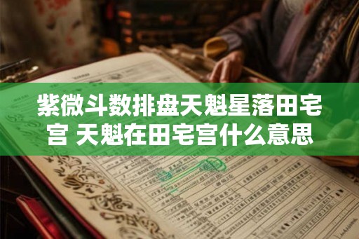 紫微斗数排盘天魁星落田宅宫 天魁在田宅宫什么意思