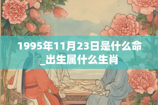 1995年11月23日是什么命_出生属什么生肖