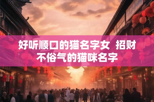 好听顺口的猫名字女 招财不俗气的猫咪名字 好听顺口的猫名字女 招财不俗气的猫咪名字