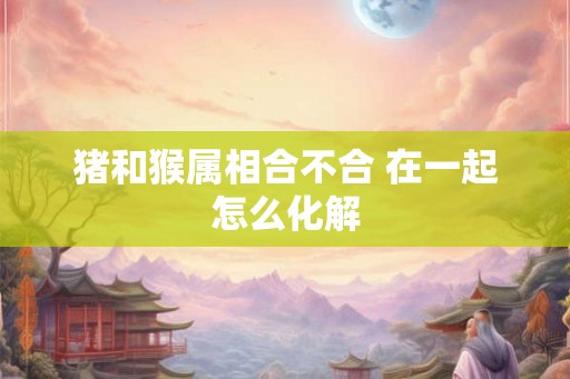 猪和猴属相合不合 在一起怎么化解