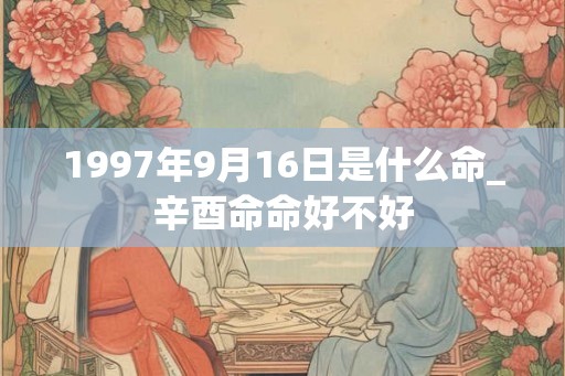1997年9月16日是什么命_辛酉命命好不好
