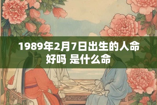 1989年2月7日出生的人命好吗 是什么命