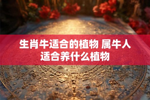生肖牛适合的植物 属牛人适合养什么植物