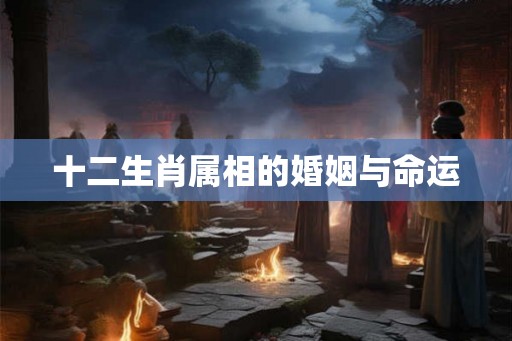 十二生肖属相的婚姻与命运