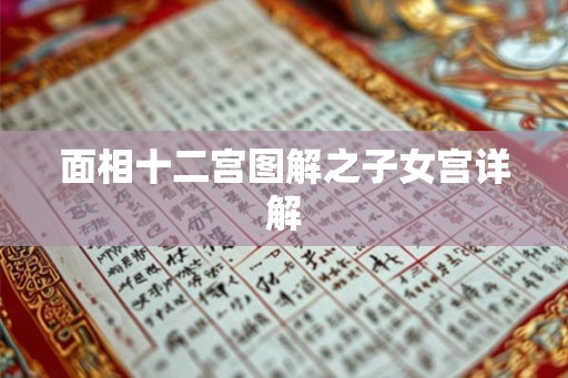 面相十二宫图解之子女宫详解