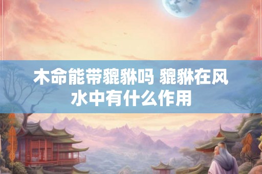 木命能带貔貅吗 貔貅在风水中有什么作用