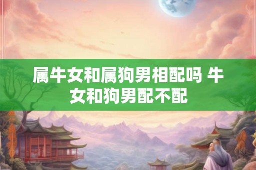 属牛女和属狗男相配吗 牛女和狗男配不配