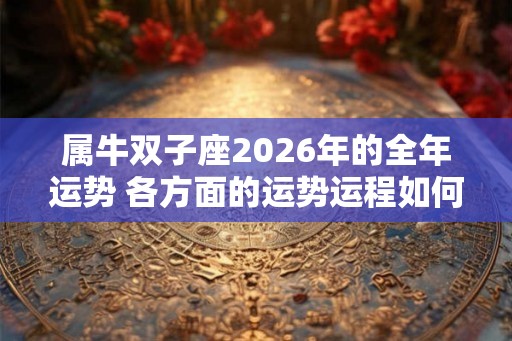 属牛双子座2026年的全年运势 各方面的运势运程如何