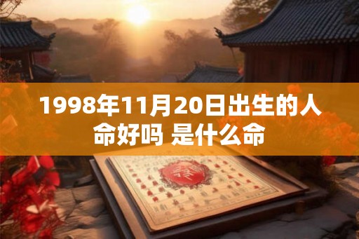 1998年11月20日出生的人命好吗 是什么命