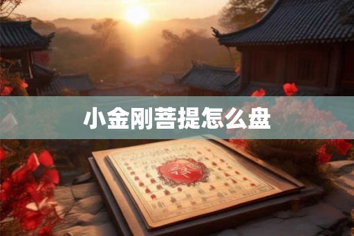 小金刚菩提怎么盘