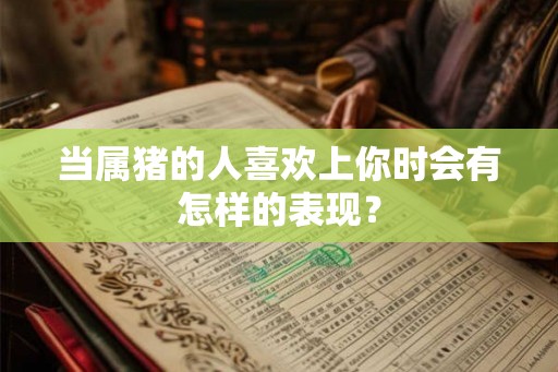 当属猪的人喜欢上你时会有怎样的表现？