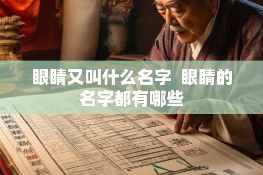 眼睛又叫什么名字  眼睛的名字都有哪些
