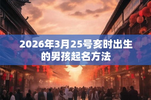 2026年3月25号亥时出生的男孩起名方法