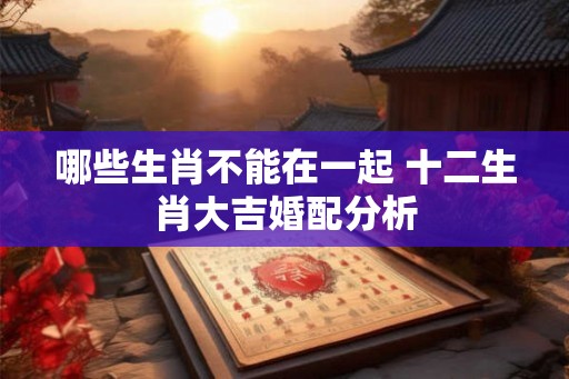 哪些生肖不能在一起 十二生肖大吉婚配分析