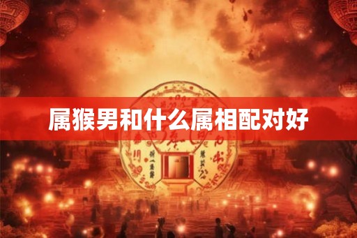 属猴男和什么属相配对好