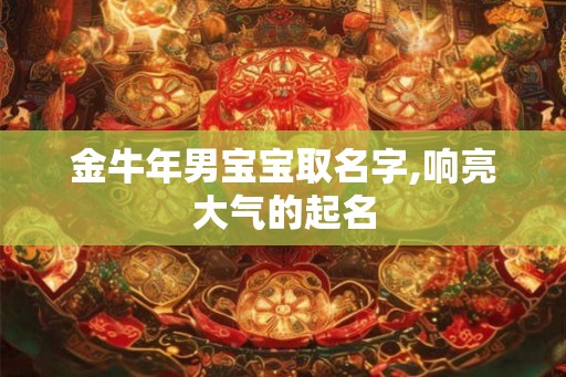 金牛年男宝宝取名字,响亮大气的起名
