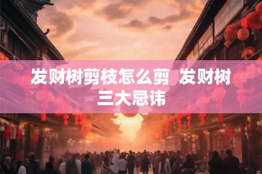 发财树剪枝怎么剪  发财树三大忌讳