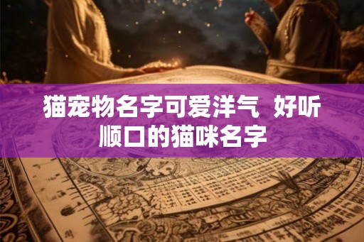 猫宠物名字可爱洋气  好听顺口的猫咪名字