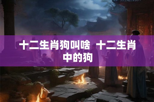 十二生肖狗叫啥  十二生肖中的狗