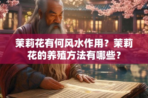 茉莉花有何风水作用？茉莉花的养殖方法有哪些？