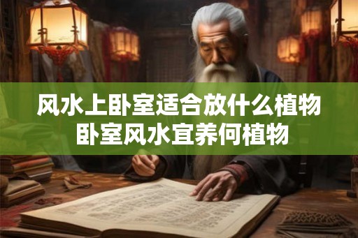 风水上卧室适合放什么植物 卧室风水宜养何植物