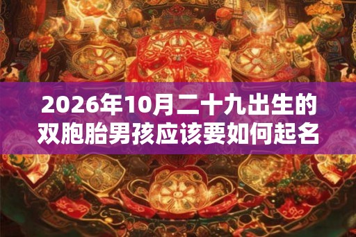 2026年10月二十九出生的双胞胎男孩应该要如何起名字，五行属相是什么？