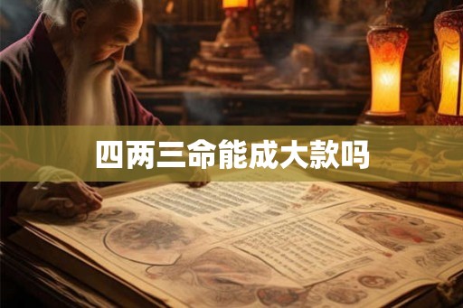 四两三命能成大款吗