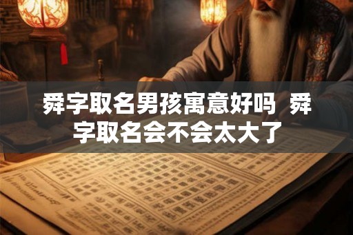 舜字取名男孩寓意好吗  舜字取名会不会太大了