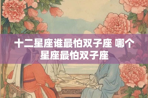 十二星座谁最怕双子座 哪个星座最怕双子座