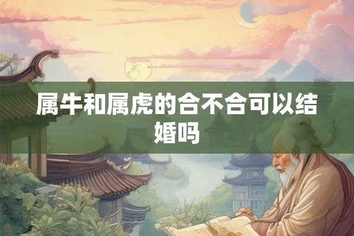 属牛和属虎的合不合可以结婚吗