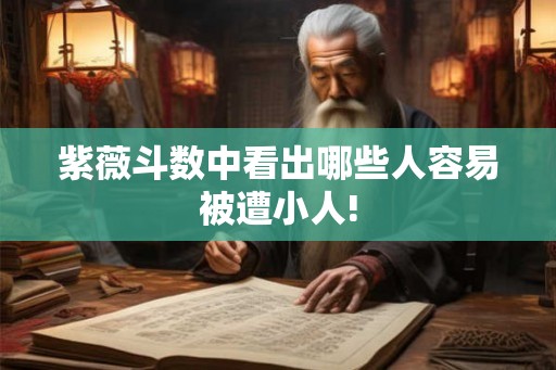 紫薇斗数中看出哪些人容易被遭小人!