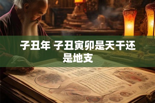 子丑年 子丑寅卯是天干还是地支 子丑年 子丑寅卯是天干还是地支