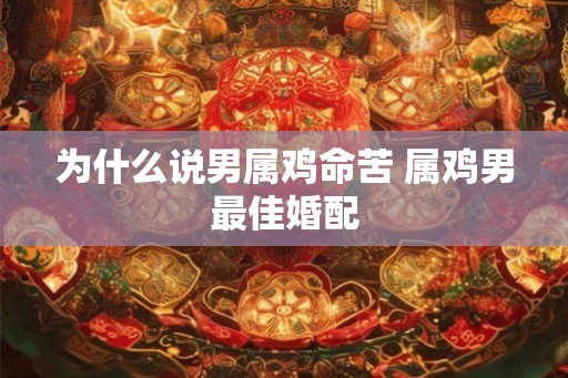 为什么说男属鸡命苦 属鸡男最佳婚配