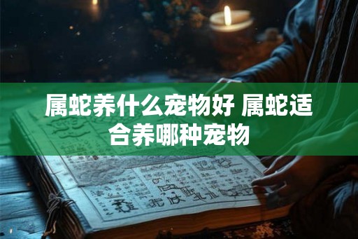 属蛇养什么宠物好 属蛇适合养哪种宠物 属蛇养什么宠物好 属蛇适合养哪种宠物