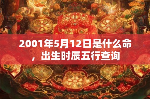 2001年5月12日是什么命，出生时辰五行查询