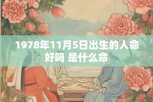 1978年11月5日出生的人命好吗 是什么命