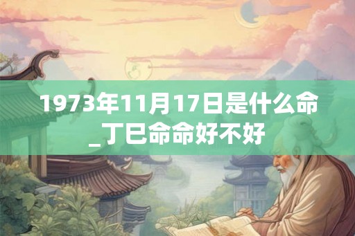1973年11月17日是什么命_丁巳命命好不好