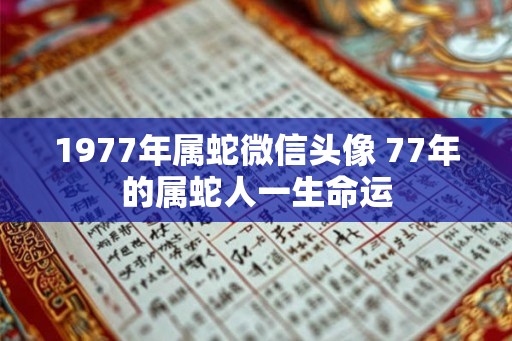 1977年属蛇微信头像 77年的属蛇人一生命运