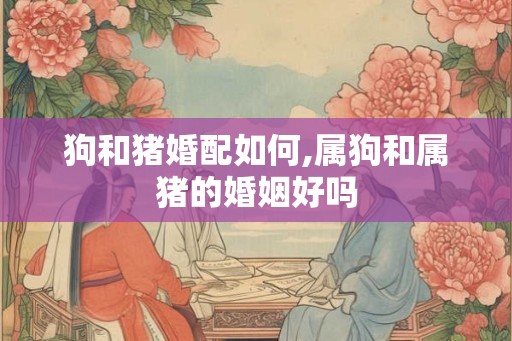 狗和猪婚配如何,属狗和属猪的婚姻好吗