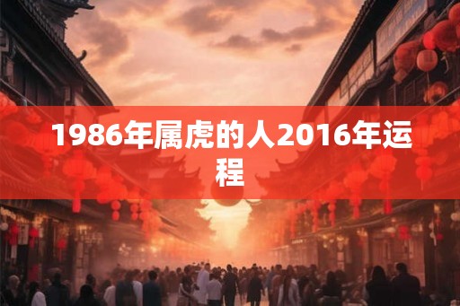 1986年属虎的人2016年运程