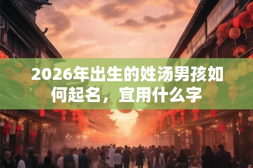 2026年出生的姓汤男孩如何起名，宜用什么字