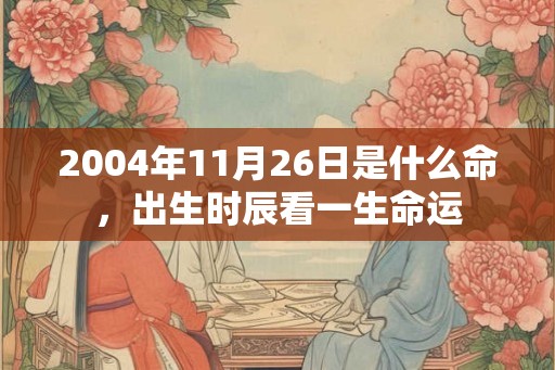 2004年11月26日是什么命,出生时辰看一生命运 2004年11月26日是什么命,出生时辰看一生命运