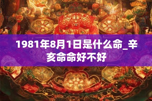 1981年8月1日是什么命_辛亥命命好不好