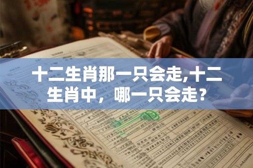 十二生肖那一只会走,十二生肖中，哪一只会走？