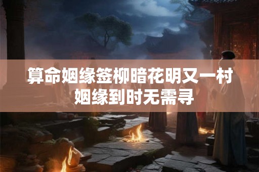 算命姻缘签柳暗花明又一村  姻缘到时无需寻